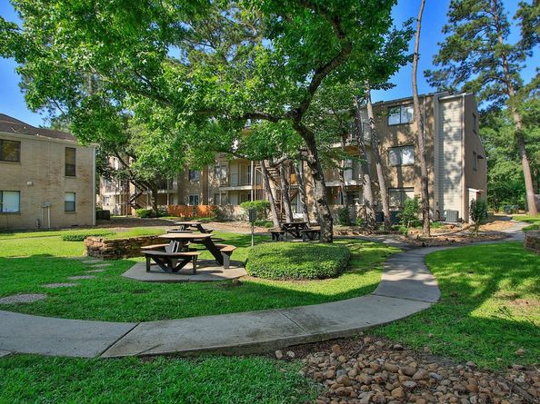 3500 Tangle Brush Drive 138, The Woodlands TX 77381