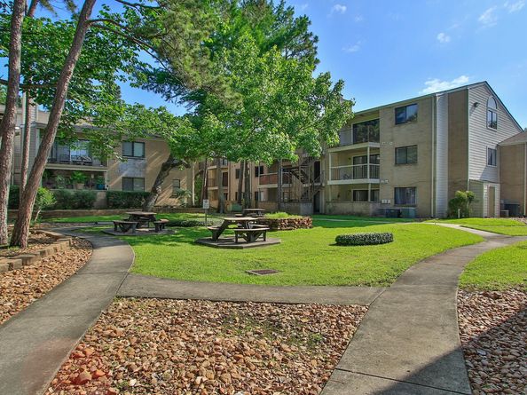 3500 Tangle Brush Drive 138, The Woodlands TX 77381