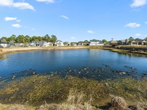 1046 Bending Trail Drive, Tomball TX 77375