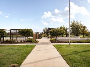 9810 Falling Fern Lane, Houston TX 77080