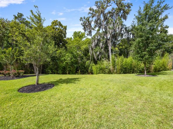 603 Blue Iris Trail, Houston TX 77079