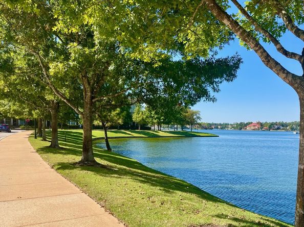 107 Low Country Lane, The Woodlands TX 77380