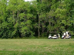 6602 Harbor Town Drive 505, Houston TX 77036