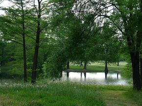 6602 Harbor Town Drive 505, Houston TX 77036