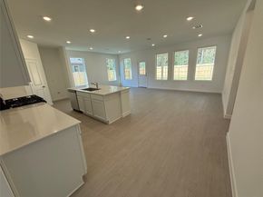 16346 Chestnut Haven Drive, Hockley TX 77447