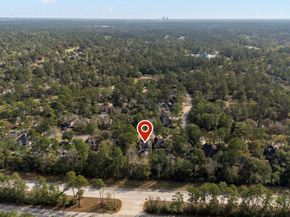 173 Purple Slate Place, The Woodlands TX 77381