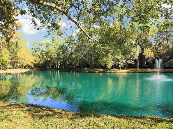 222 Litchfield Lane, Houston TX 77024