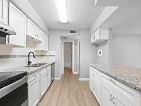 17202 Imperial Valley Drive 4, Houston TX 77060