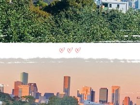 2334 Camden Drive, Houston TX 77021