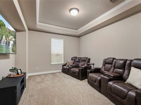 10323 Millcreek Manor Lane, Cypress TX 77433