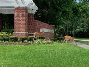 5911 Piney Birch Court, Houston TX 77345