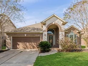 13811 Birney Point Lane, Houston TX 77044