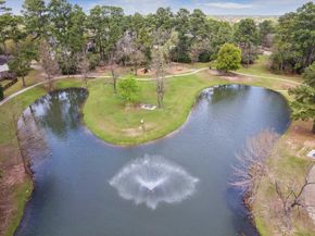 1110 Arden Forest Drive, Spring TX 77379