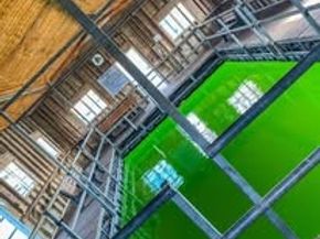 6103 Lakeshore Drive, Leander TX 78645