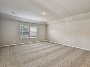 17326 Teddy Trace Drive, Waller TX 77484