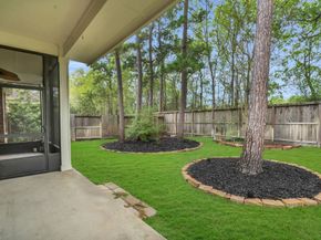 44 Windsor Bridge Drive, Conroe TX 77384