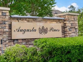25514 Long Iron Court, Spring TX 77389
