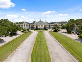 25514 Long Iron Court, Spring TX 77389