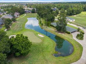 25514 Long Iron Court, Spring TX 77389