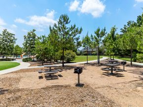 25514 Long Iron Court, Spring TX 77389