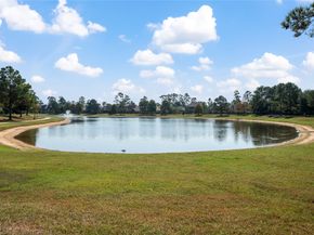 17011 Burke Lake Lane, Houston TX 77044