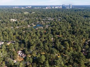 33 Crystal Lake Lane, The Woodlands TX 77380