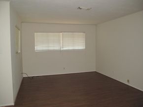 10054 Haddington Drive, Houston TX 77080