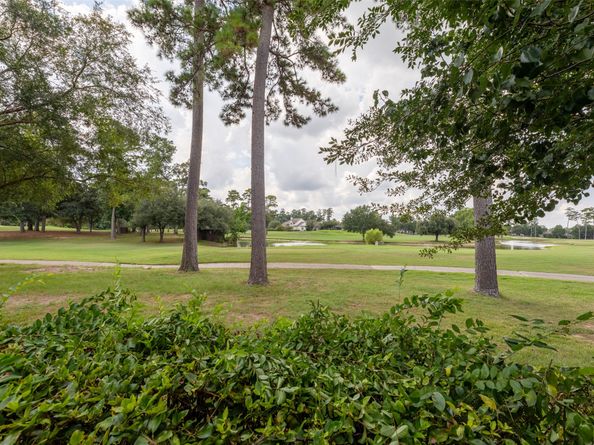 25011 Northampton Terrace Drive, Spring TX 77389