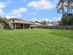 20136 Bitter Root Drive, Porter TX 77365