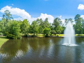 3 Pendleton Park Point, The Woodlands TX 77382