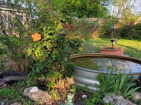 1524 Weyford DR, Austin TX 78757