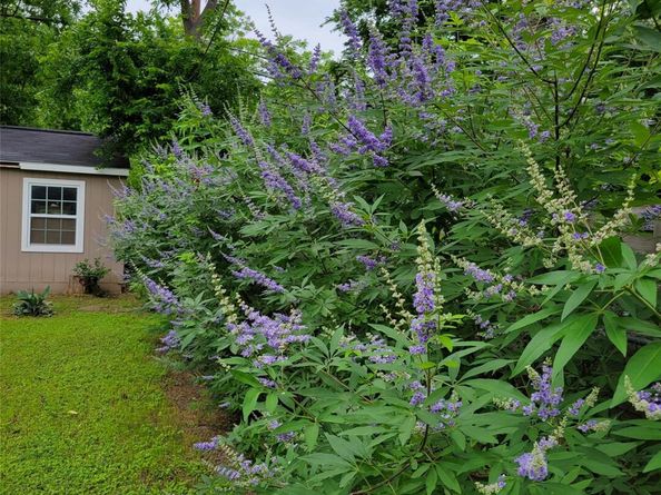 1524 Weyford DR, Austin TX 78757