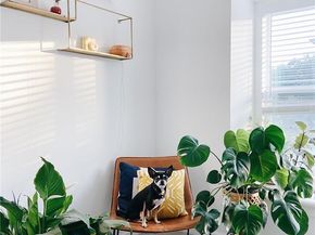 3604 Clawson RD 203, Austin TX 78704