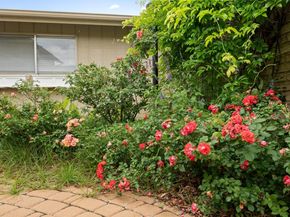8107 Middle CT, Austin TX 78759