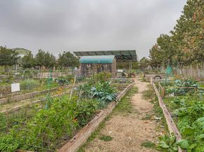 3905 Teaff ST, Austin TX 78723