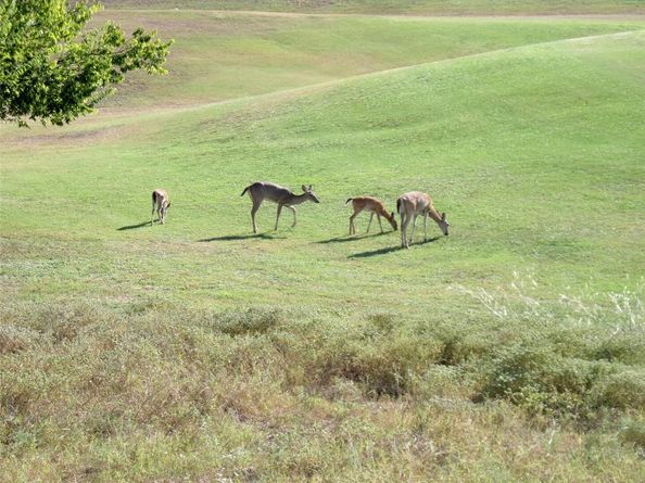 20707 Greenpark DR, Lago Vista TX 78645