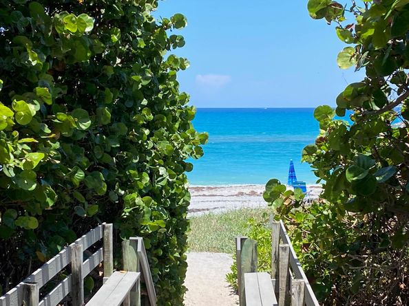 460 Surfside Lane, Juno Beach FL 33408