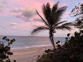 460 Surfside Lane, Juno Beach FL 33408