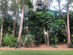 1262 N Sugar Sands Boulevard 127, Singer Island FL 33404