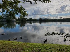 120 Royal Park Dr B4, Oakland Park FL 33309