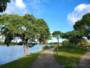 120 Royal Park Dr B4, Oakland Park FL 33309