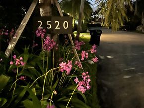 2520 Laguna Ter, Fort Lauderdale FL 33316