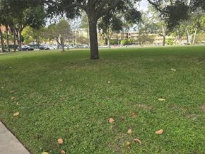 6200 S Falls Circle Dr 105, Lauderhill FL 33319