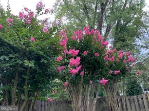 1201 Allendale Road, Mclean VA 22101