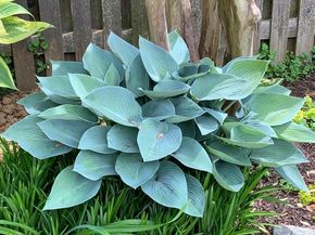 1201 Allendale Road, Mclean VA 22101