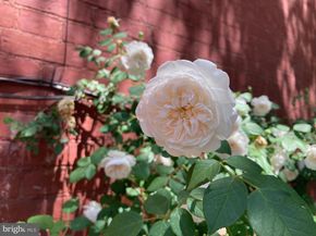 1526 1st Street NW, Washington DC 20001