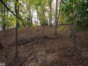 9921 Woodrow Street, Vienna VA 22181