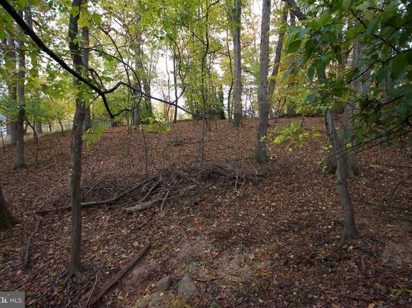 9921 Woodrow Street, Vienna VA 22181