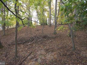 9921 Woodrow Street, Vienna VA 22181