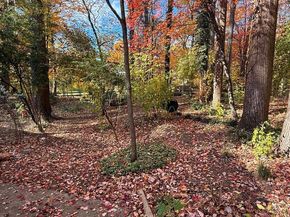 11512 Le Havre Drive, Potomac MD 20854